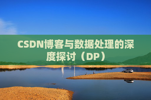 CSDN博客与数据处理的深度探讨（DP）